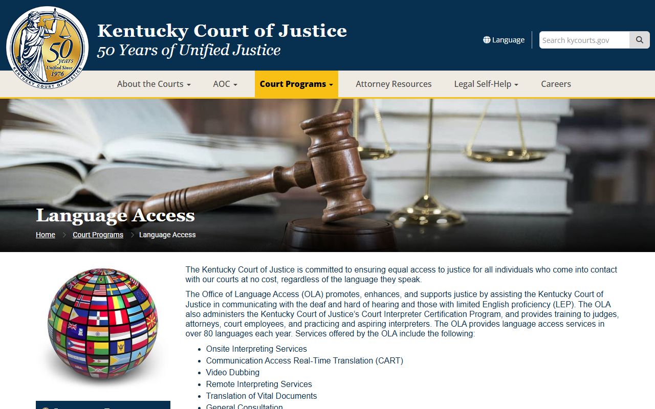 Ohio County court dockets language access information