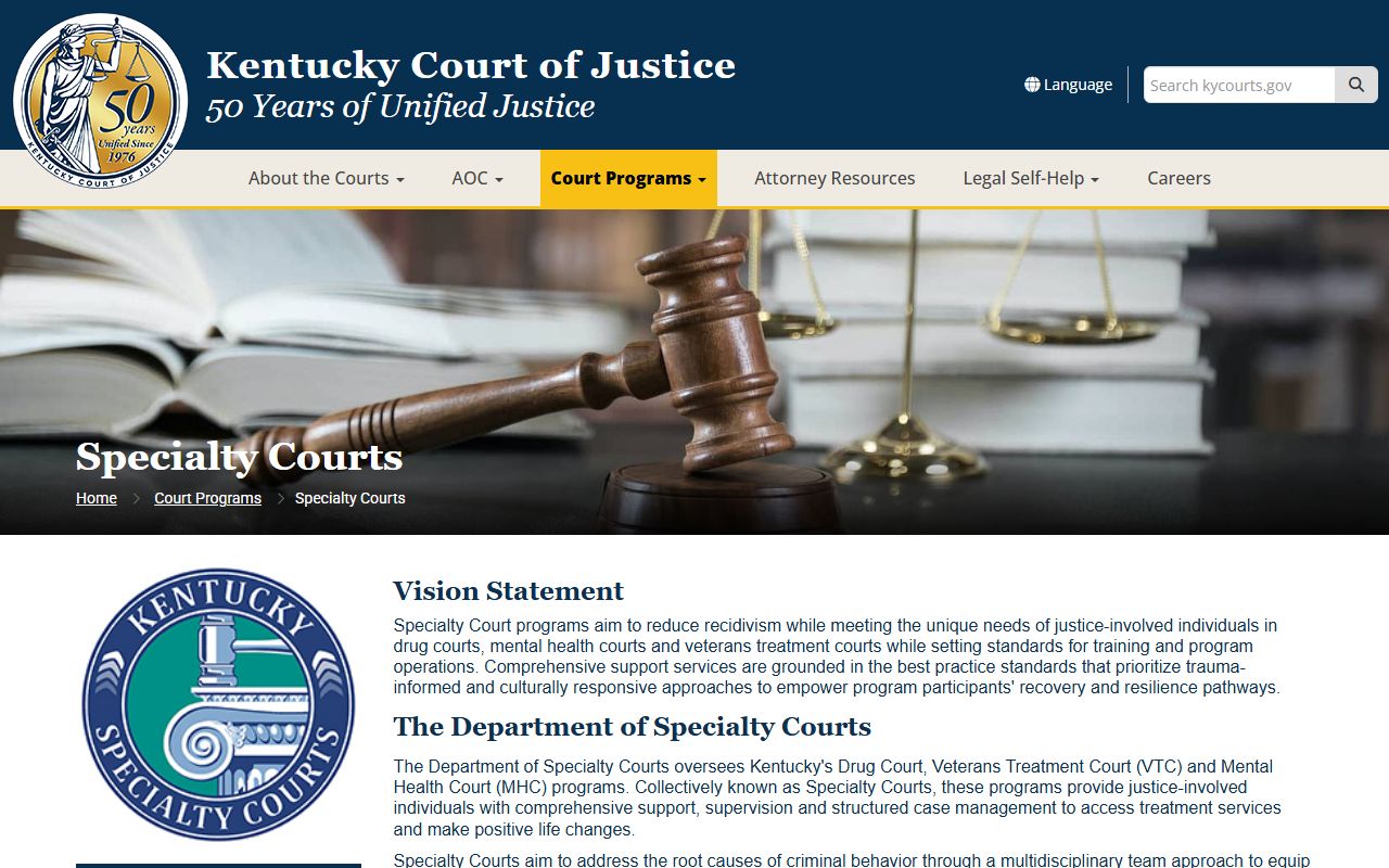 Ohio County court dockets specialty courts information